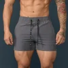 Youngla Shorts<101 Bodybuilding Short Shorts